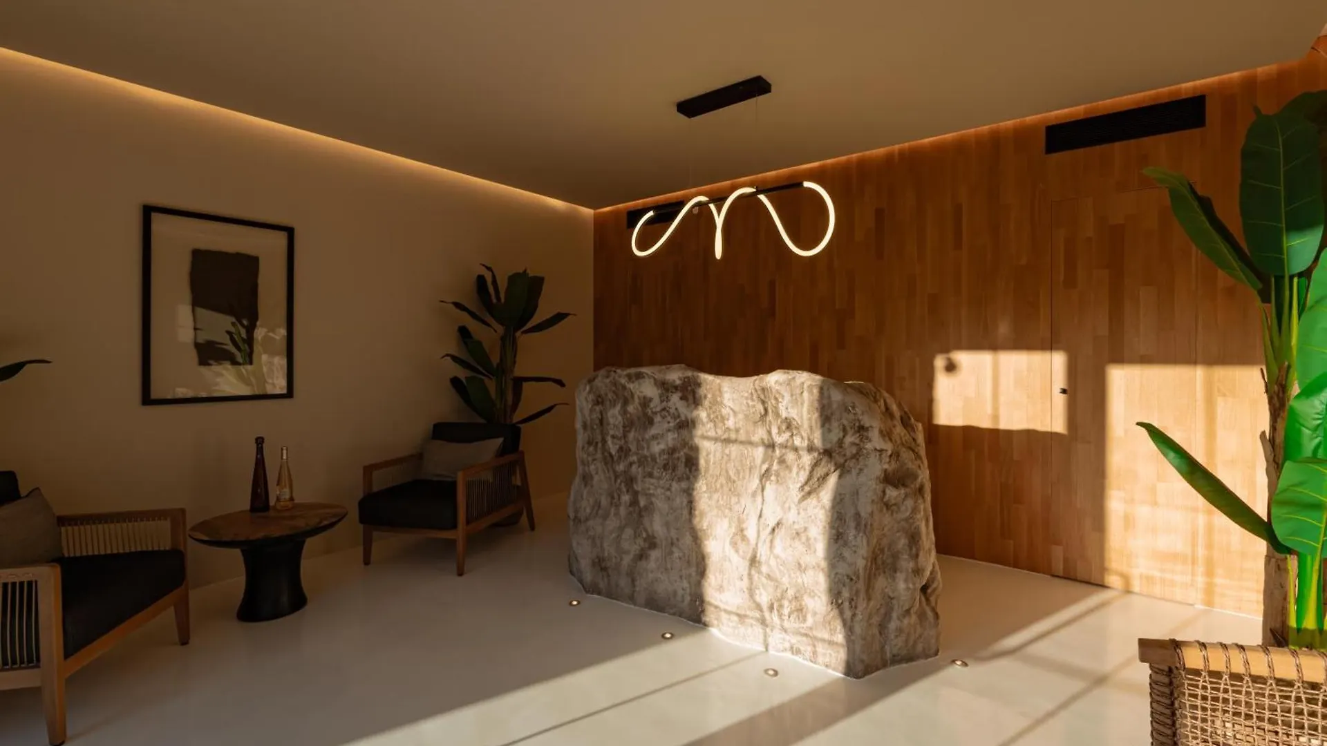 Ftelia Black Villas 0*, Ftelia (Mykonos)