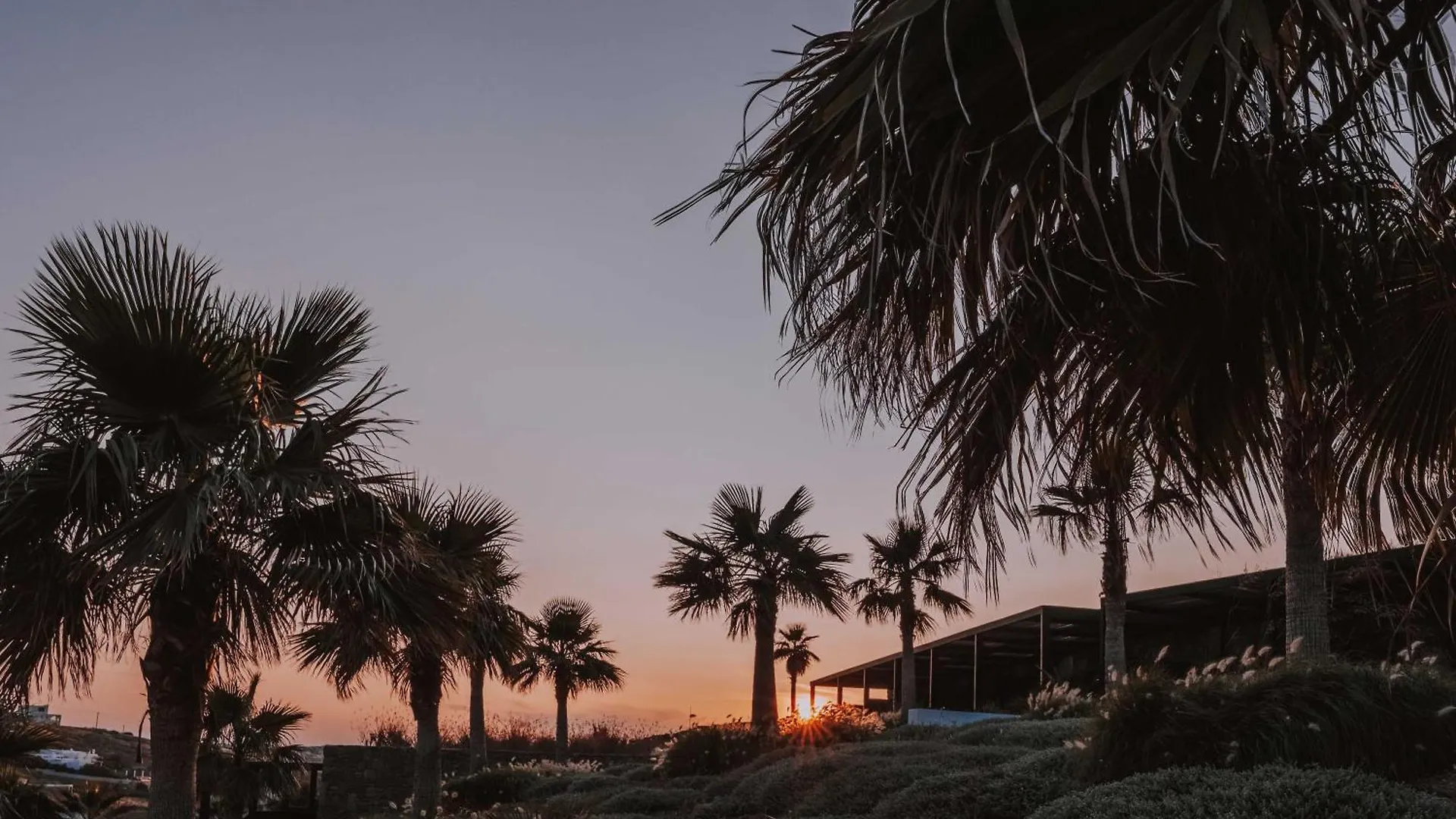 Hotel Ftelia Black Villas